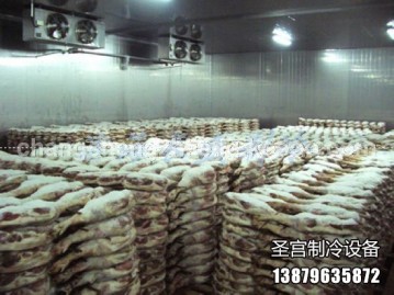安?；鹜缺４鎺?  /><span>安?；鹜缺４鎺?/span></a></li><li><a href=